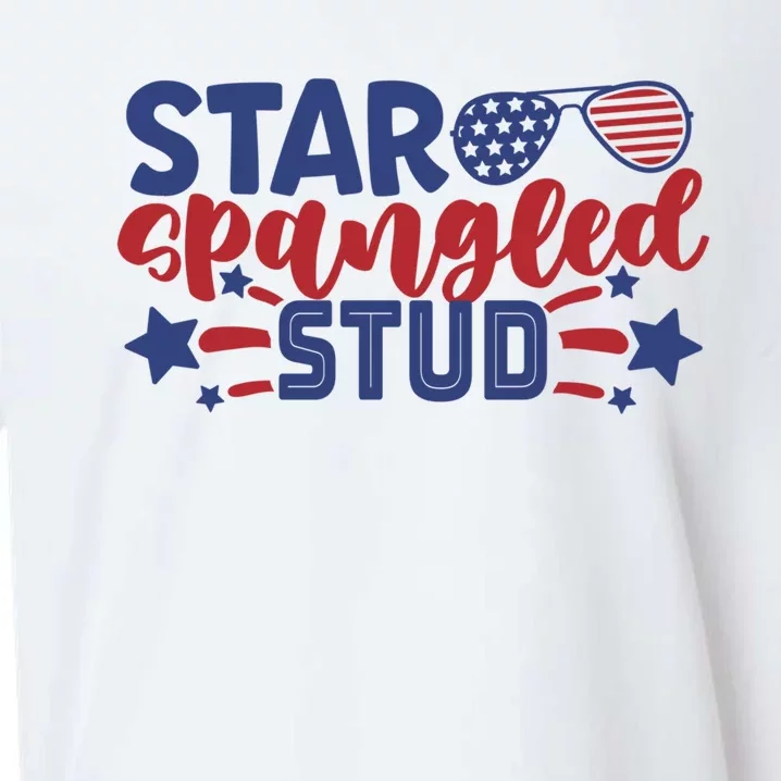 4th Of July Star Spangled Stud Matching 4th Of July Ideas Funny Gift Sueded Cloud Jersey T-Shirt