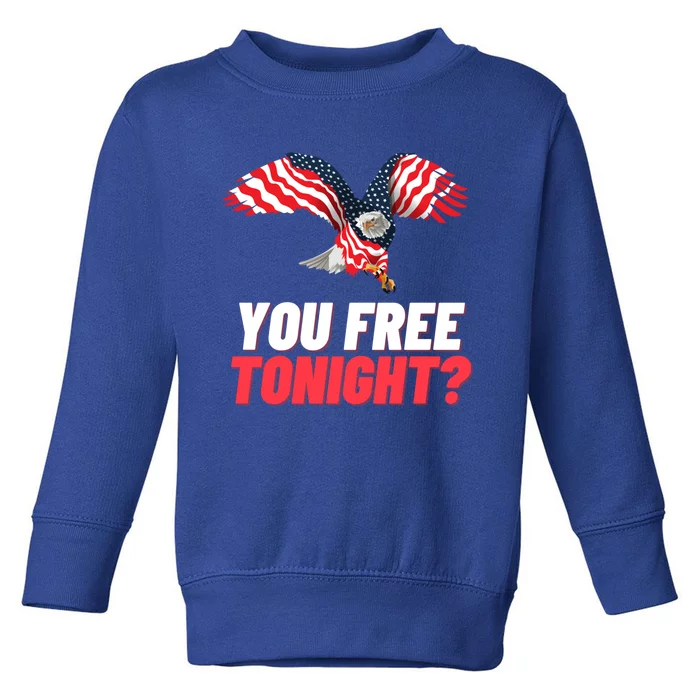 4th Of July You Free Tonight Funny Gift Toddler Sweatshirt