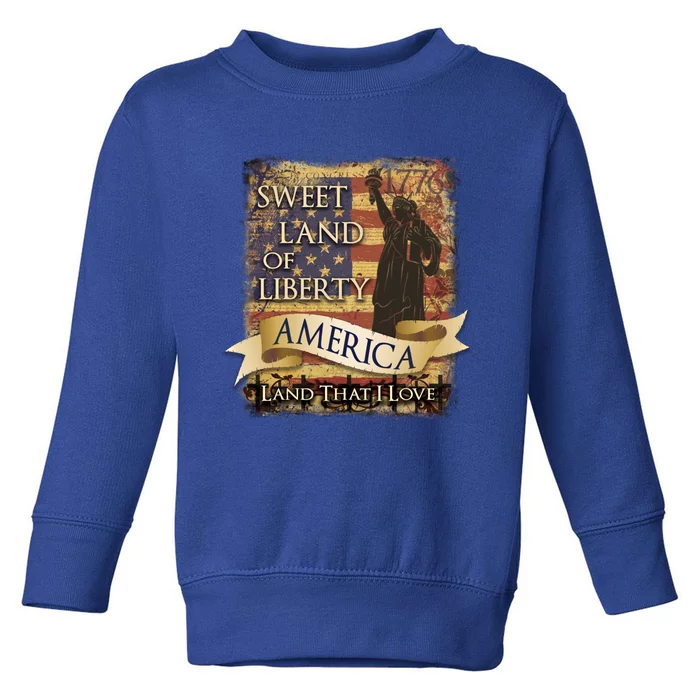 4th Of July America Sweet Land Of Liberty Patriotic Usa Flag Meaningful Gift Toddler Sweatshirt