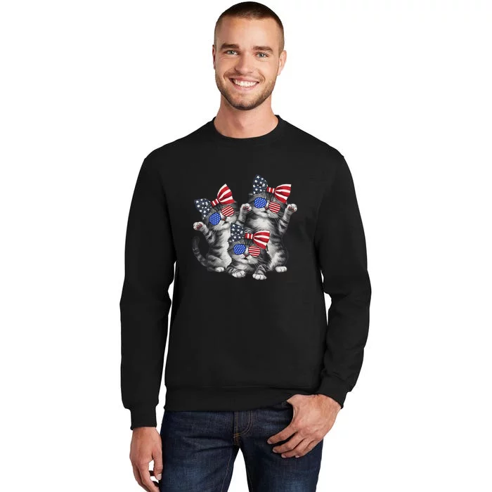 4th Of July Funny Kitten Cat Lover Pet Owner Cat Patriotic Gift Tall Sweatshirt