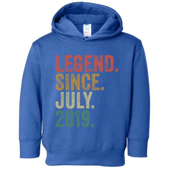 4 Year Old July 2019 Vintage Retro Funny 4th Birthday Gift Toddler Hoodie