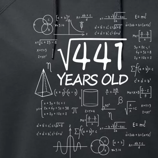 411 Years Old 21st Birthday Math Funny Nerd Performance Fleece Hoodie