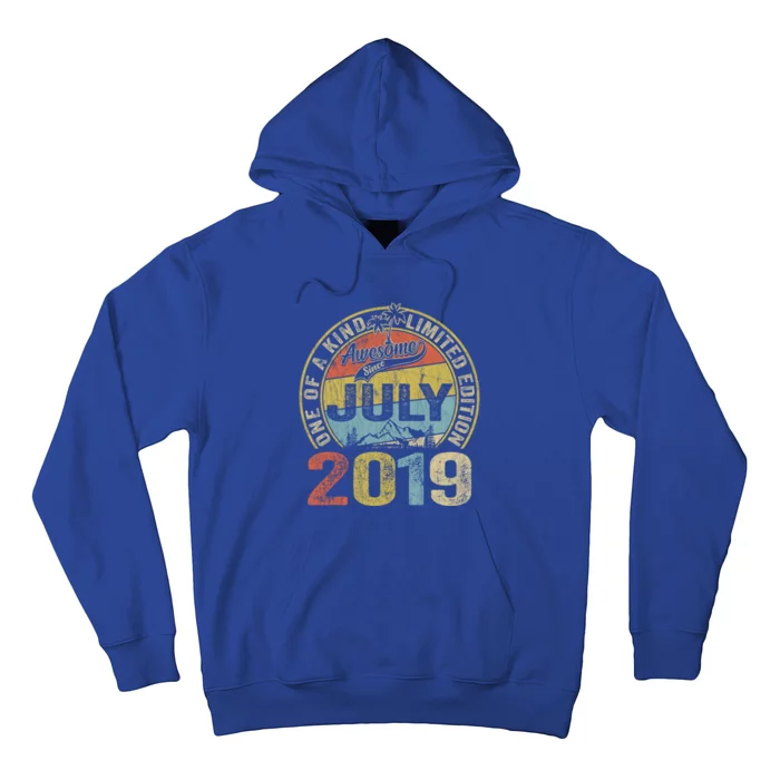 4 Year Old Gift 4th Birthday Awesome Since July 2019 Gift Hoodie