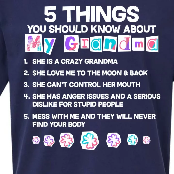 5 Things You Should Know About My Grandma Sueded Cloud Jersey T-Shirt