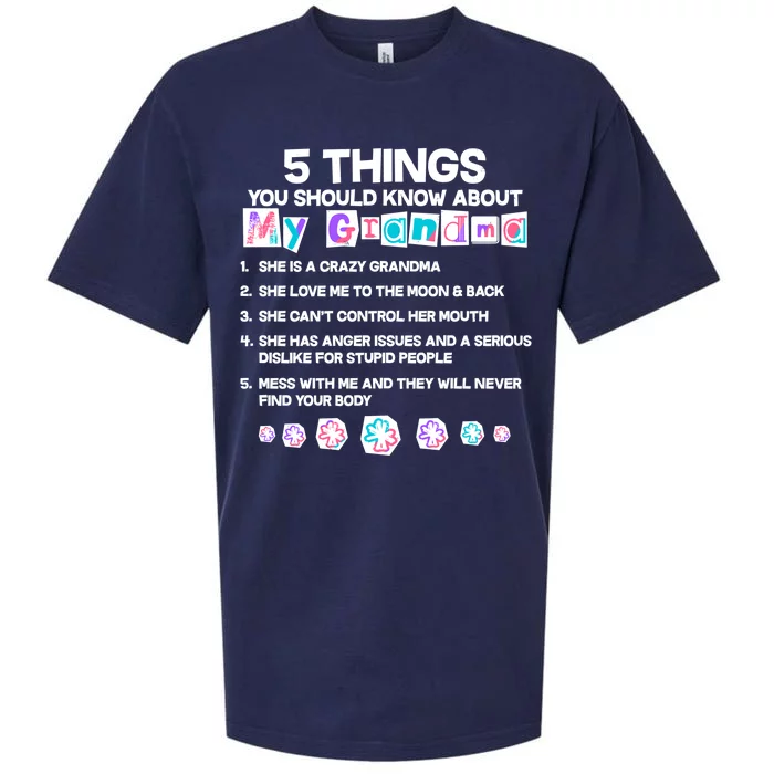 5 Things You Should Know About My Grandma Sueded Cloud Jersey T-Shirt