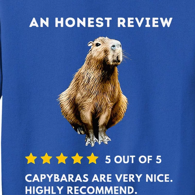 5 Star Review Capybara Tall Sweatshirt