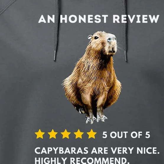 5 Star Review Capybara Performance Fleece Hoodie