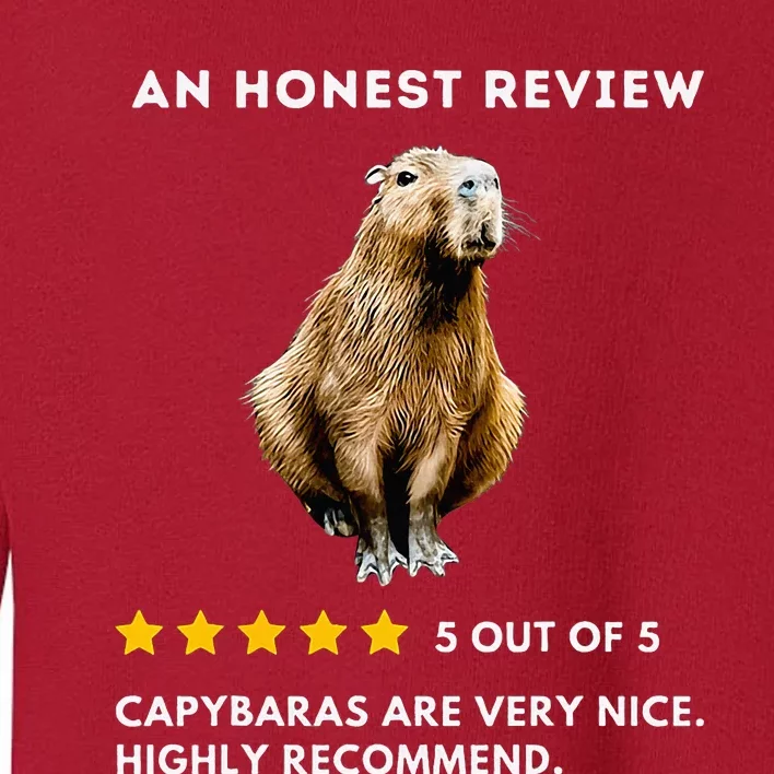 5 Star Review Capybara Toddler Sweatshirt