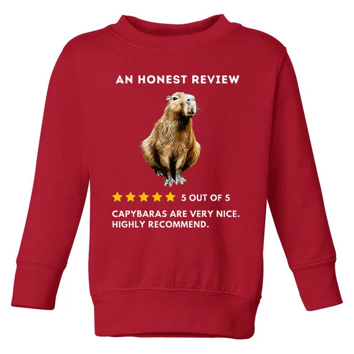 5 Star Review Capybara Toddler Sweatshirt