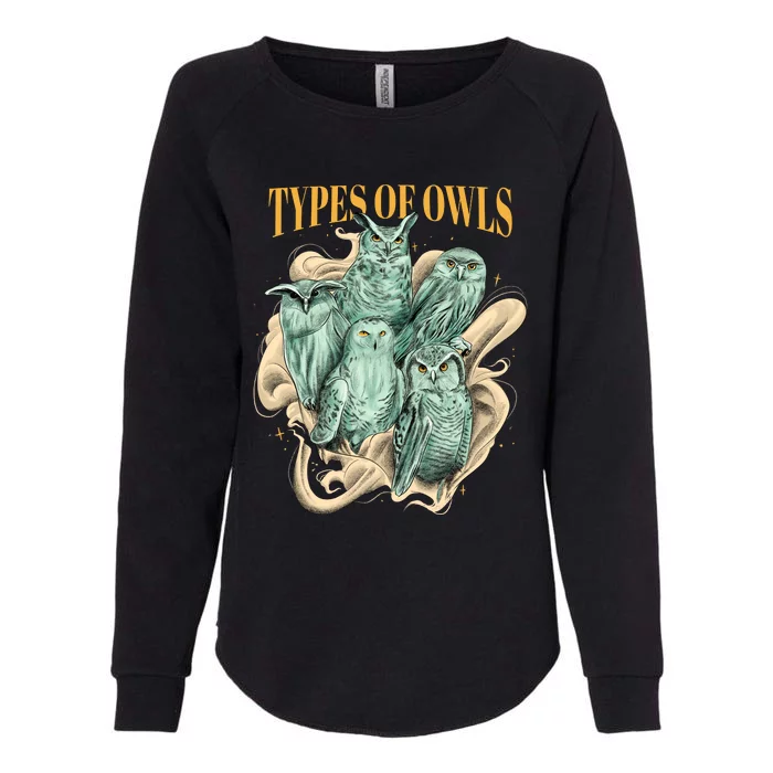 5 Types Of Owls Womens California Wash Sweatshirt