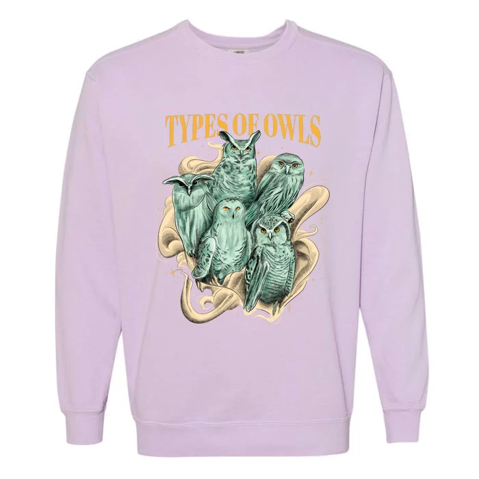 5 Types Of Owls Garment-Dyed Sweatshirt