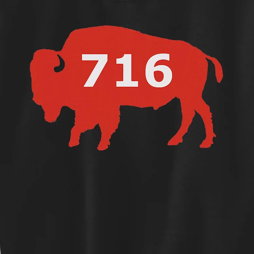 716 Buffalo Ny Kids Sweatshirt