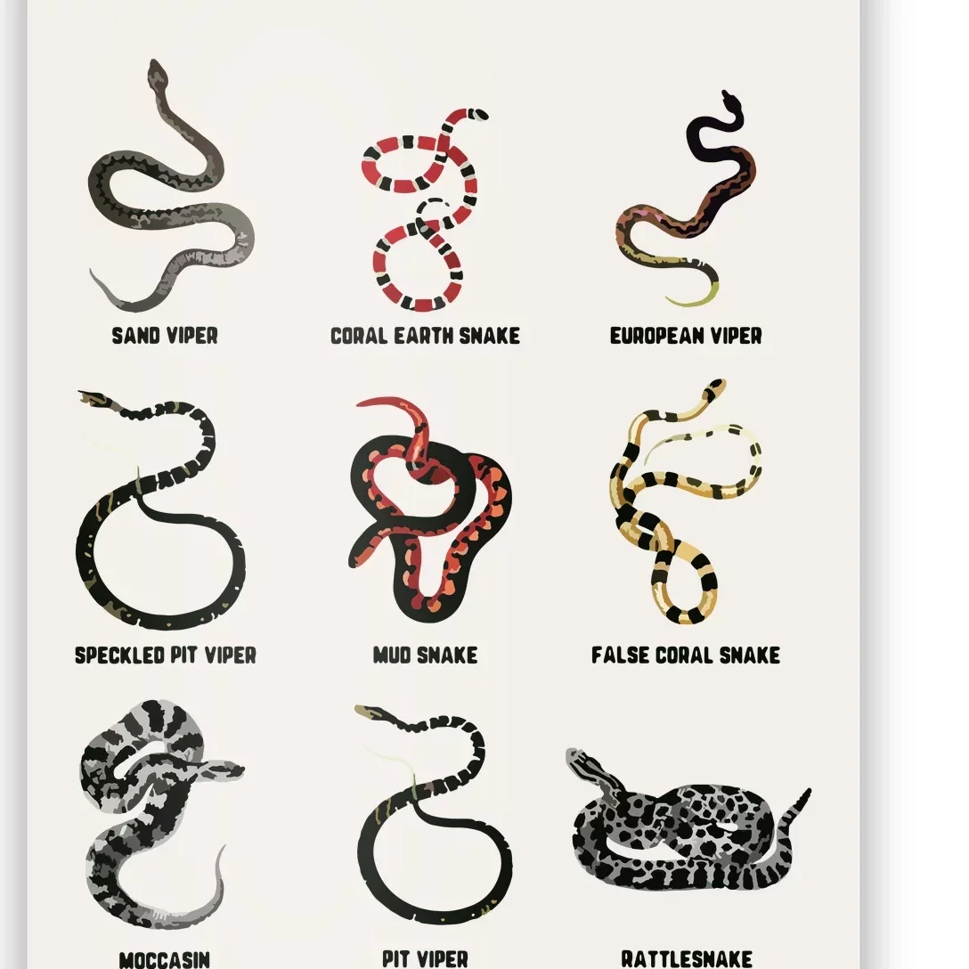 9 Snakes Snake Lover Men Snake Snake Poster