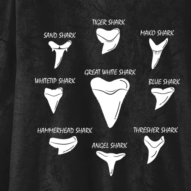 9 Types Of Sharks Teeth Species Biology Life Tooth Collector Hooded Wearable Blanket