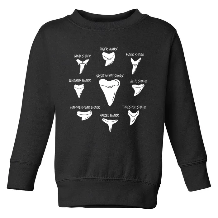 9 Types Of Sharks Teeth Species Biology Life Tooth Collector Toddler Sweatshirt