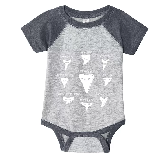 9 Types Of Sharks Teeth Species Biology Life Tooth Collector Infant Baby Jersey Bodysuit