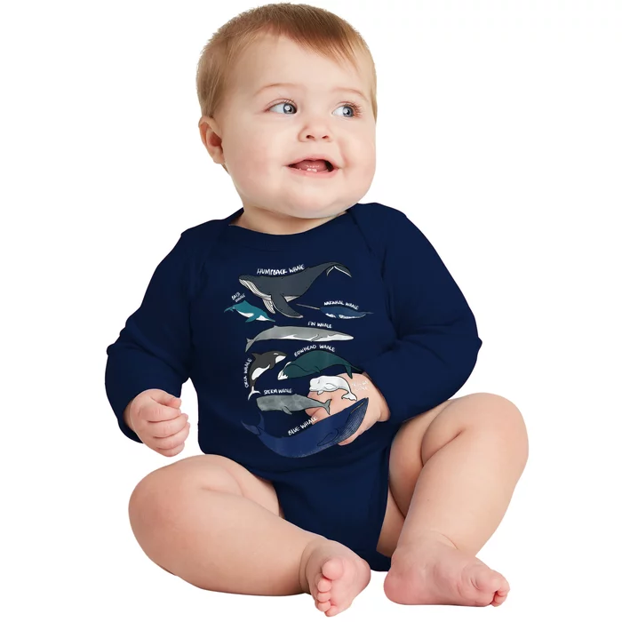 9 Types Of Whales Shirt Whale Breeds Species Whale Baby Long Sleeve Bodysuit