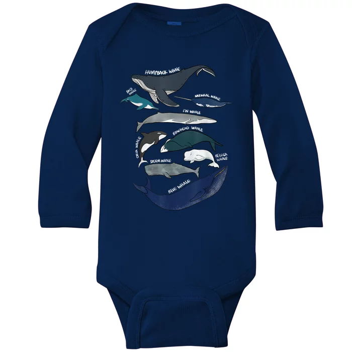 9 Types Of Whales Shirt Whale Breeds Species Whale Baby Long Sleeve Bodysuit