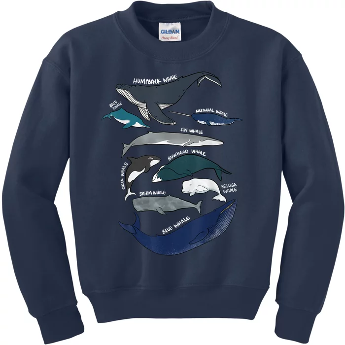 9 Types Of Whales Shirt Whale Breeds Species Whale Kids Sweatshirt