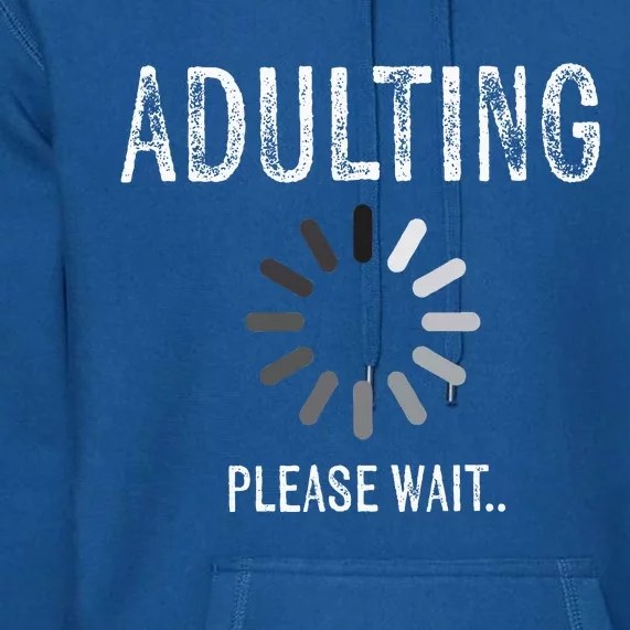 Adult 18th Birthday Gifts For 18 Years Old Premium Hoodie