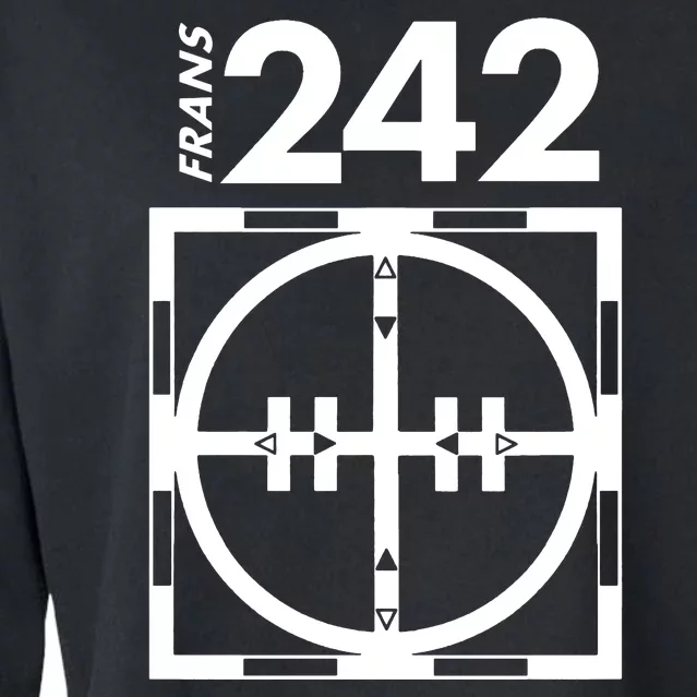 Another 242 T 4 Frans Cropped Pullover Crew