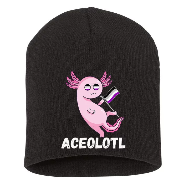 Ace Axolotl Asexual Pride Flag Mexican Salamander LGBT Short Acrylic Beanie