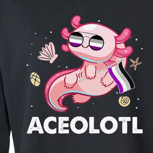 Ace Axolotl Asexual Pride Flag Mexican Salamander LGBTQ Cropped Pullover Crew