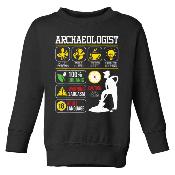 Archaeologist Archaeology Archeologist Archeology Toddler Sweatshirt