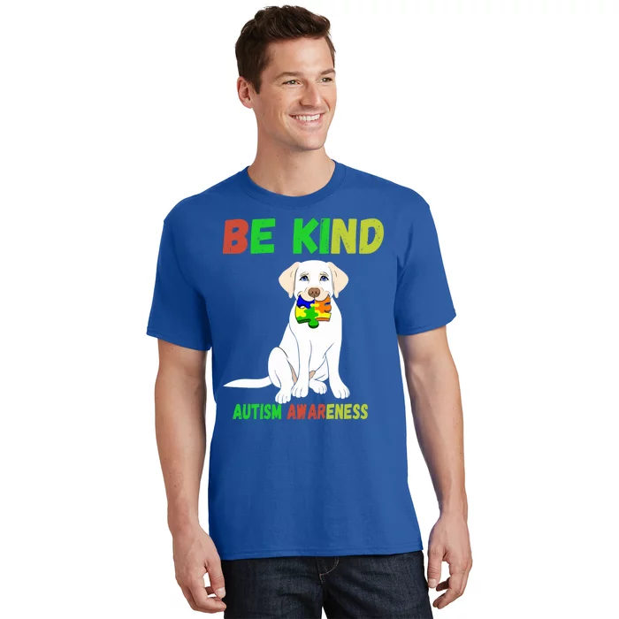 Autism Awareness Be Kind Cute Gift T-Shirt