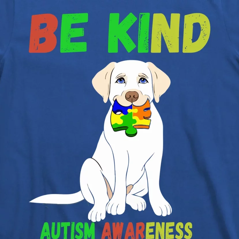 Autism Awareness Be Kind Cute Gift T-Shirt