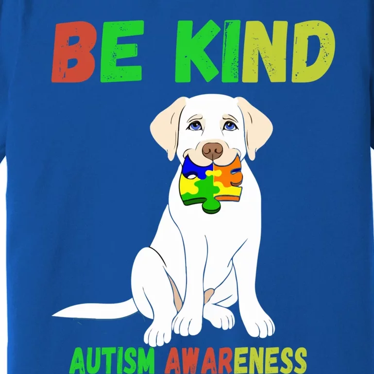 Autism Awareness Be Kind Cute Gift Premium T-Shirt