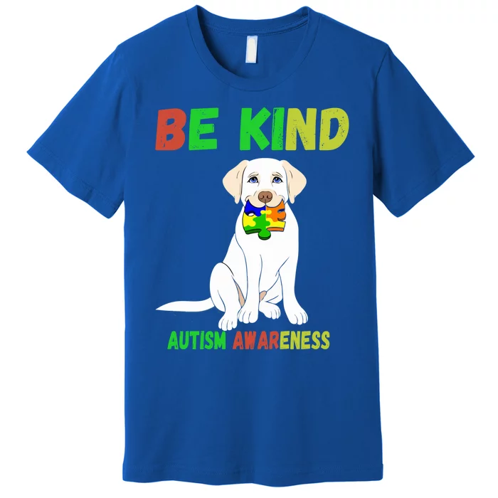 Autism Awareness Be Kind Cute Gift Premium T-Shirt