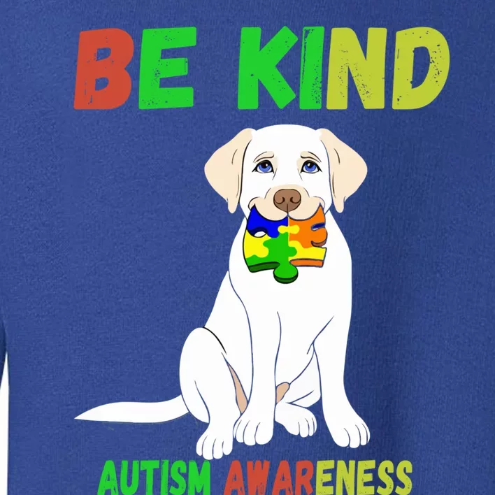 Autism Awareness Be Kind Cute Gift Toddler Sweatshirt