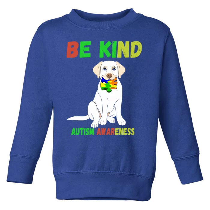 Autism Awareness Be Kind Cute Gift Toddler Sweatshirt