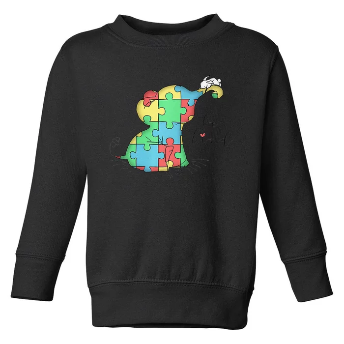 AUTISM AWARENESS BE KIND Premium Gift Toddler Sweatshirt