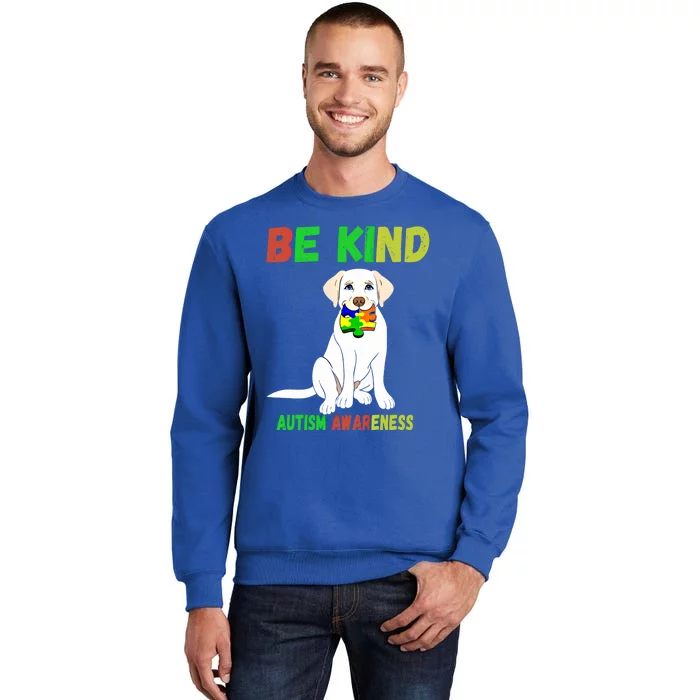 Autism Awareness Be Kind Gift Tall Sweatshirt