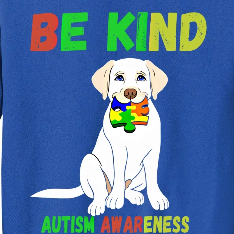 Autism Awareness Be Kind Gift Tall Sweatshirt