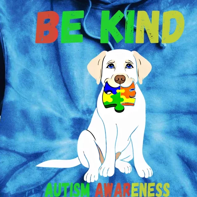 Autism Awareness Be Kind Gift Tie Dye Hoodie