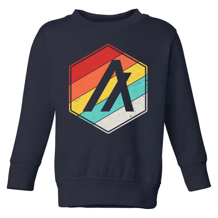 Algorand ALGO Coin Cryptocurrency Retro Colors Toddler Sweatshirt