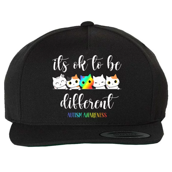 Autism Awareness Cat ItS Ok To Be Different Funny Autistic Wool Snapback Cap