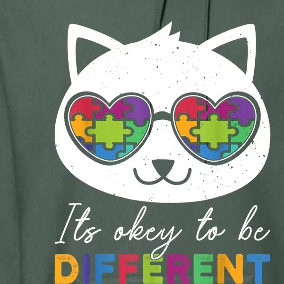 Autism Awareness Cat Warrior It's Ok To Be Different Premium Hoodie