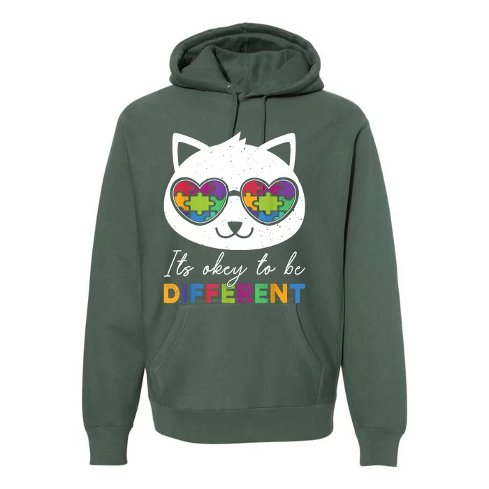 Autism Awareness Cat Warrior It's Ok To Be Different Premium Hoodie