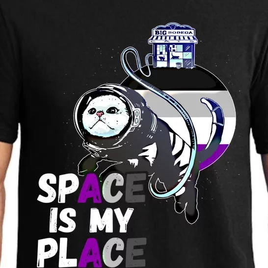 Asexual Astronaut Cat Retro Space Is My Place Ace Asexuality Gift Pajama Set