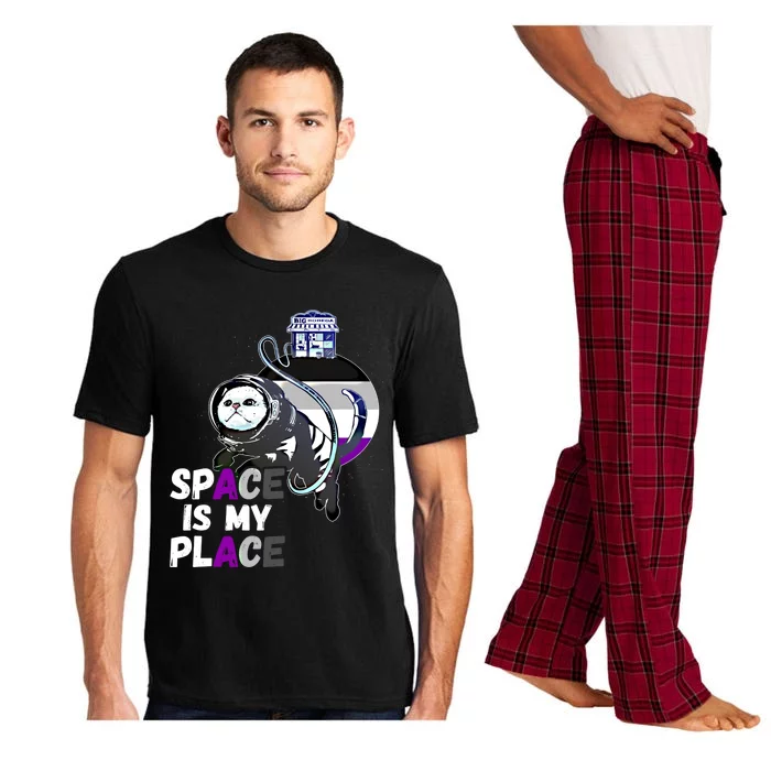 Asexual Astronaut Cat Retro Space Is My Place Ace Asexuality Gift Pajama Set