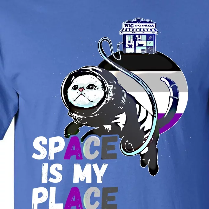 Asexual Astronaut Cat Retro Space Is My Place Ace Asexuality Gift Tall T-Shirt