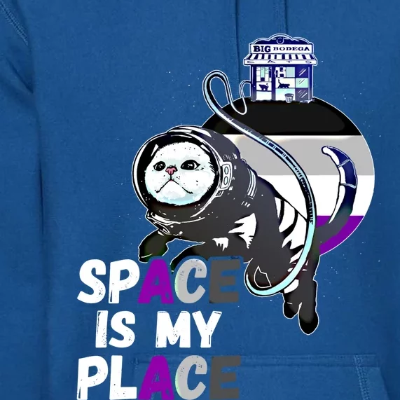 Asexual Astronaut Cat Retro Space Is My Place Ace Asexuality Gift Premium Hoodie