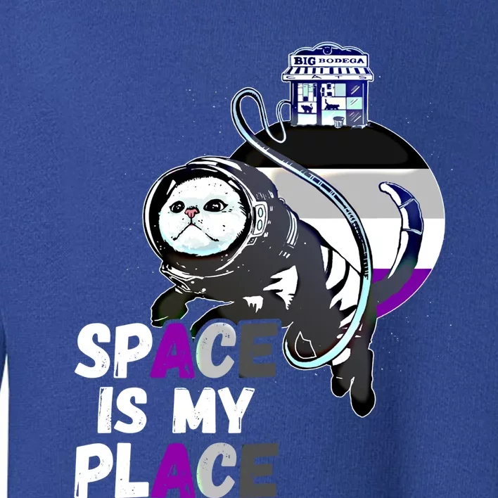 Asexual Astronaut Cat Retro Space Is My Place Ace Asexuality Gift Toddler Sweatshirt