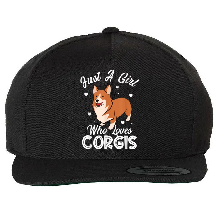 Awesome Artistic Corgi Dog Lover Tee Cute Dog Lover Design Wool Snapback Cap