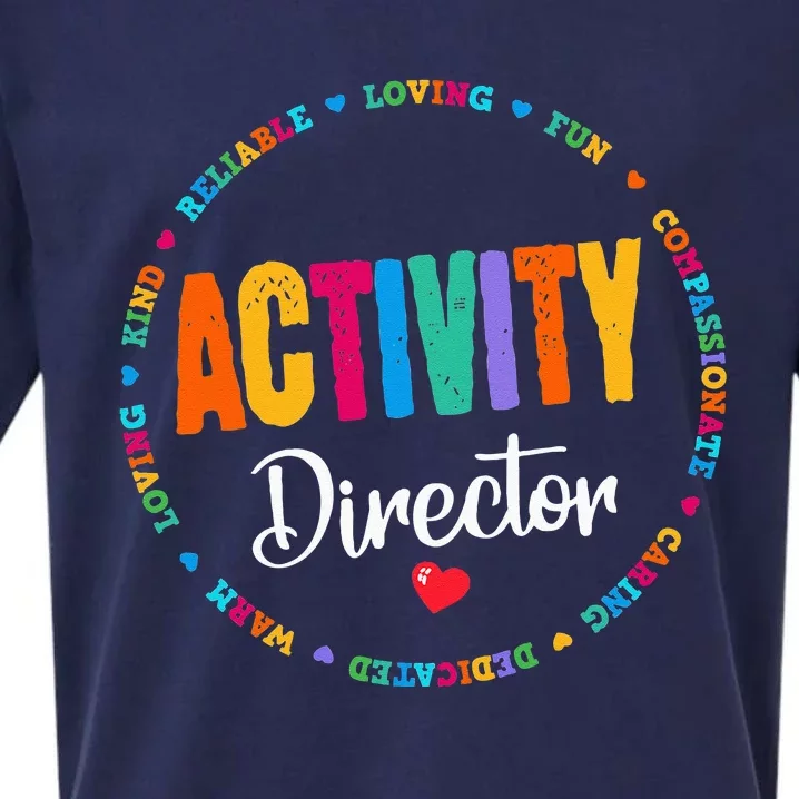 Awesome Activity Director Rock Activity Professionals Week Sueded Cloud Jersey T-Shirt