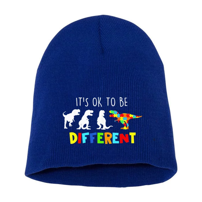 Autism Awareness Dinosaur Kid boy Its Ok To Be Different Short Acrylic Beanie